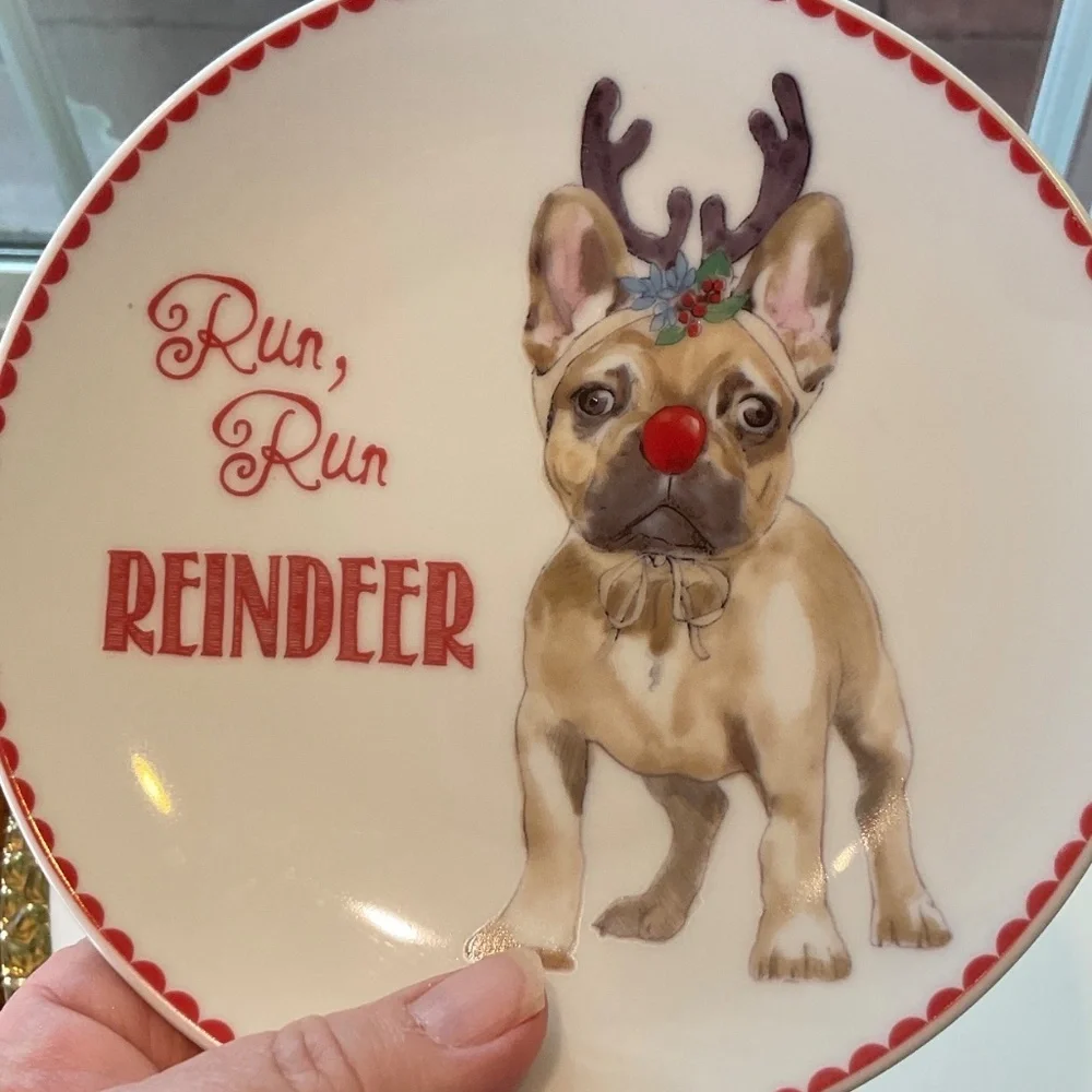Pier 1 Christmas Dog Plates 2 Total NWOT
